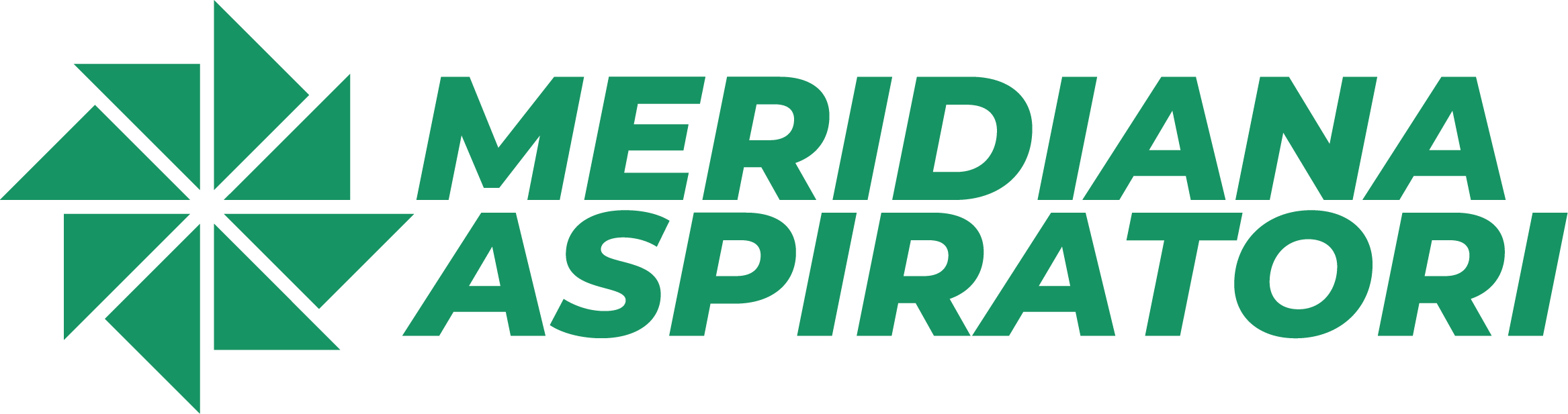 Logo Meridiana Aspiratori